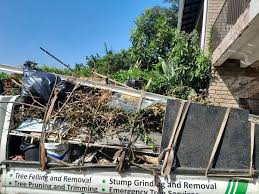 Best Residential Junk Removal  in Lake Wynonah, PA